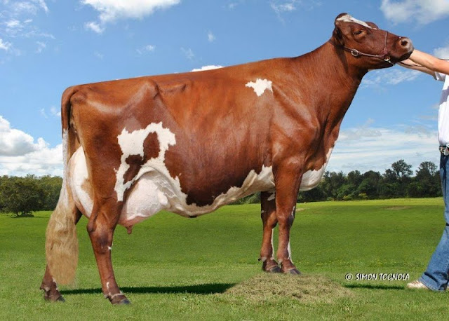 Jondene Barbara 9.jpg