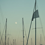 110910_raceboard entrega_039.jpg