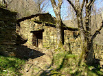 ca 056.jpg ca 056.jpg