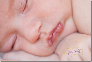 Newborn Baby Temecula Tracy Dodson Photography  007