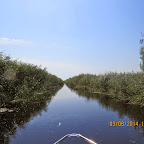 IMG_5719.JPG