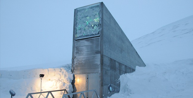 [svalbard_biologiskmangfold%255B4%255D.jpg]