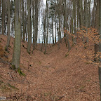 singold-bote_waldlehrpfad-schwabegg_039.jpg