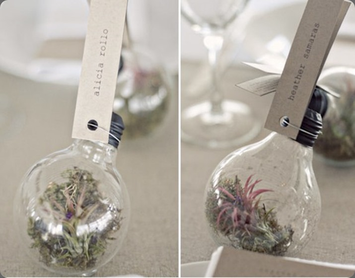 terrarium-e1284224767812 the moody fashionista and dream box photo terrarium-e1284224767812 the moody fashionista and dream box photo