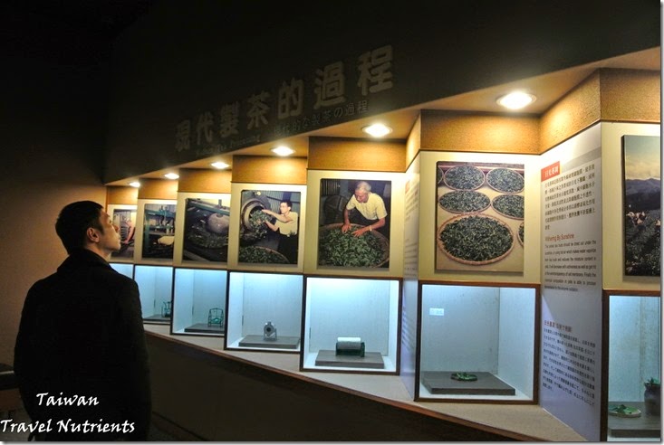 坪林茶葉博物館 (2)