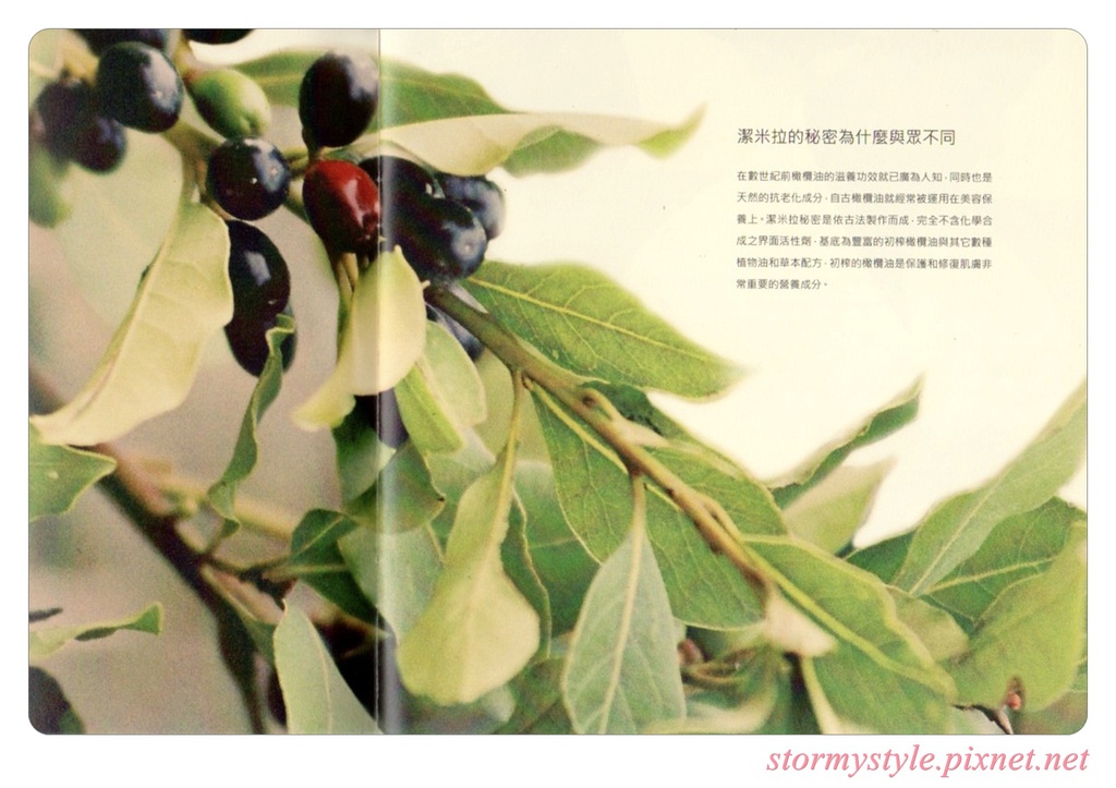 img055 img055