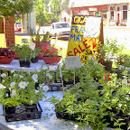 Digital StillCamera Digital StillCamera