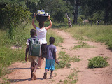 South Africa - 313.JPG