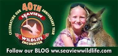 [40th%2520anniversary%2520logo%2520promoting%2520Blog%255B5%255D.jpg]