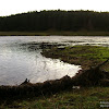 dsc07004.jpg
