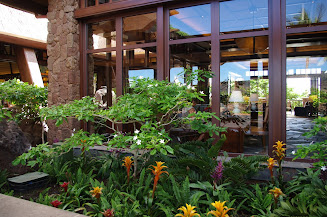 beautiful landscaping