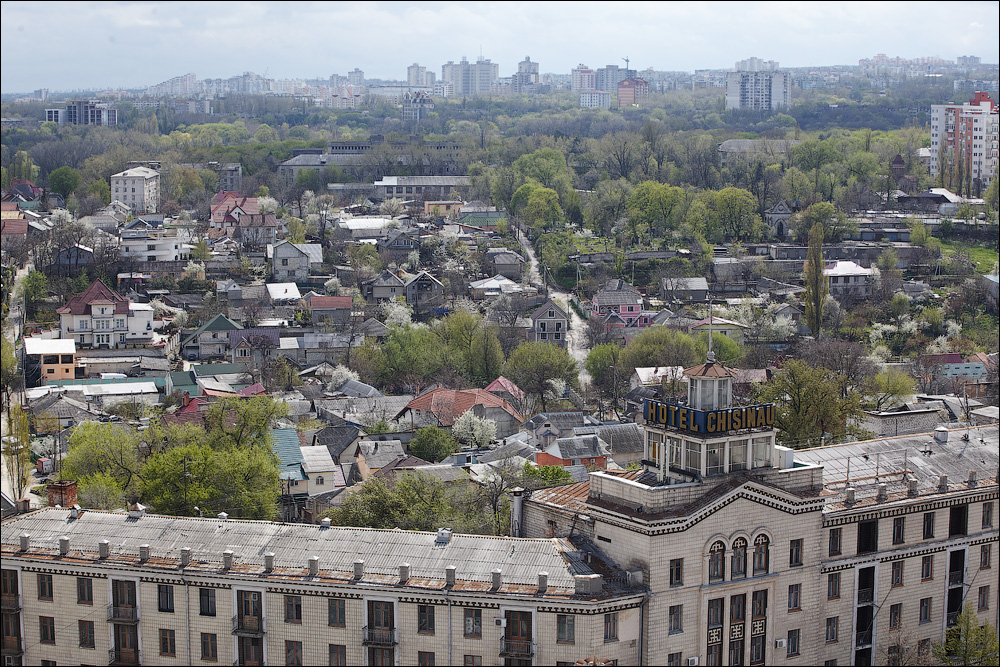 IMG_7874.jpg