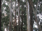 Victoria Park
