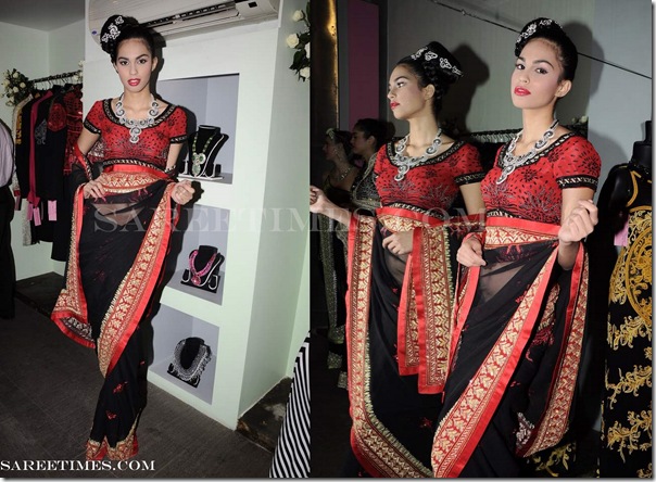 Azeem_Khan_Designer_Shimmer_Sari