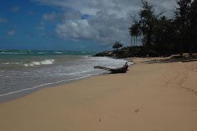 DSC_0096.JPG