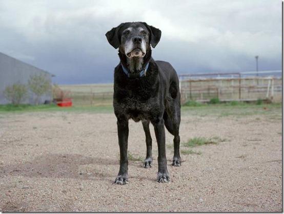 PHOTO:Charlotte Dumas / Barcroft USA PHOTO:Charlotte Dumas / Barcroft USA