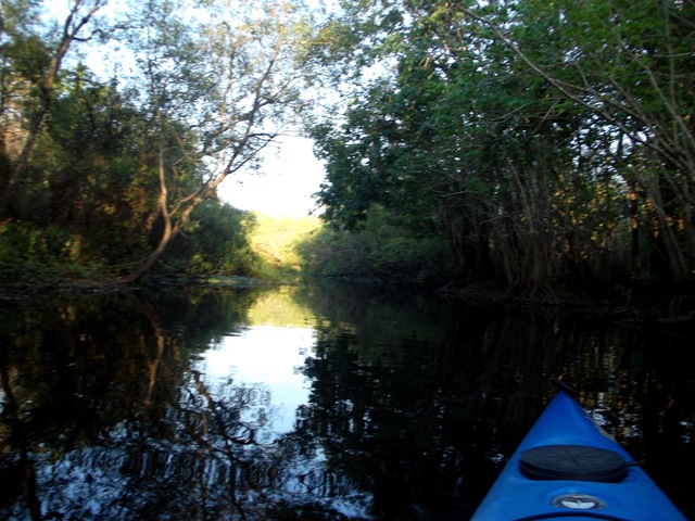 [farmersmarketkayaking323.jpg]