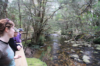 Overlooking the creek