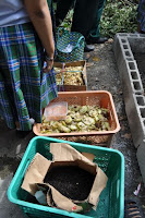pinoyecofarm vermicomposting seminar _0051.JPG