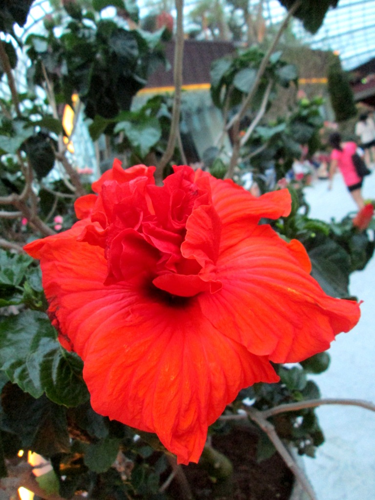 [IMG_1642%255B5%255D.jpg]