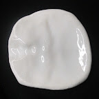 CIMG0530.JPG