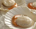 scallop raw scallop raw