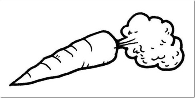 carrot carrot