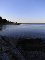 RIMG0241.JPG Photo