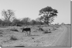 Botswana-Zimbabwe-matopoHills 25.05.2012 042