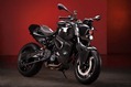 BMW-Vilner-F800-R-Predator-1