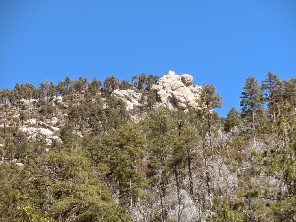 [DSCN2279%255B3%255D.jpg]