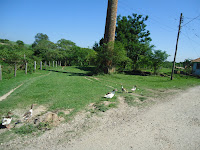 DSC06718.JPG