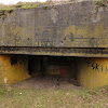 PzW.646 -widok od frontu dsc04594.jpg