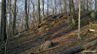 2011-04-14_19-04-24_878.jpg