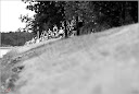 Roth_2010_335.jpg