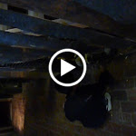 P1090681.MOV