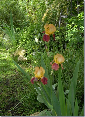 DSCN2027 DSCN2027