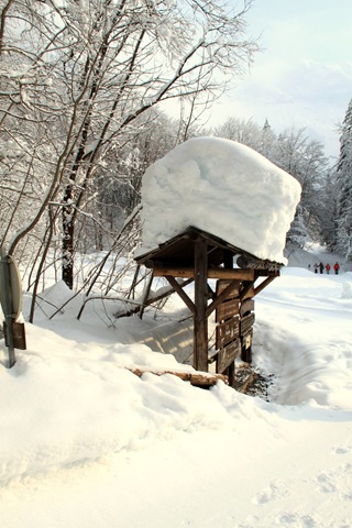 [IMG_1855%255B3%255D.jpg]