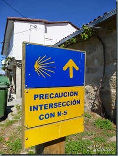 P1030361 P1030361