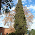 Granja Palau