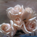 View album