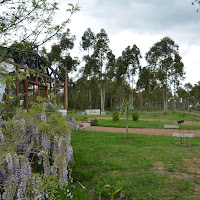 DSC_2088.JPG