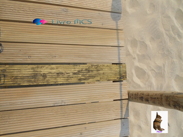 [O%2520desenvolvimento%2520das%2520Ruas%2520de%2520Espinho002Gazeta%2520de%2520Espinho%255B2%255D.jpg]