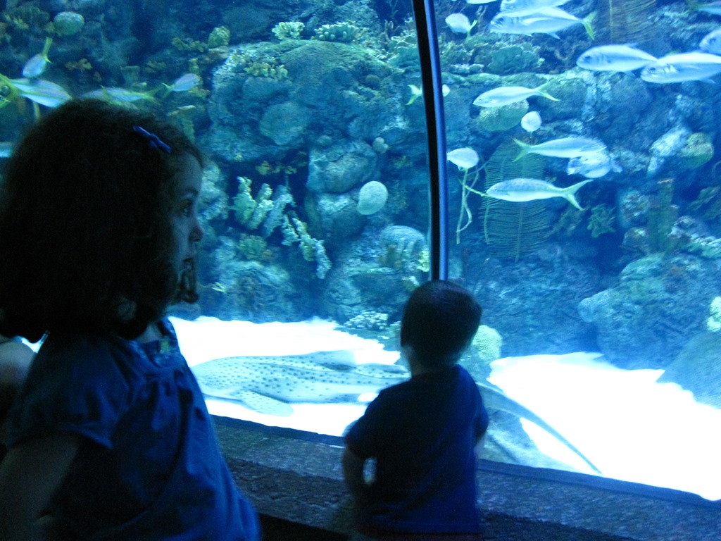 [IMG_2489%255B3%255D.jpg]