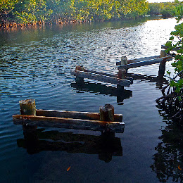 John Pennekamp Coral Reef State Park