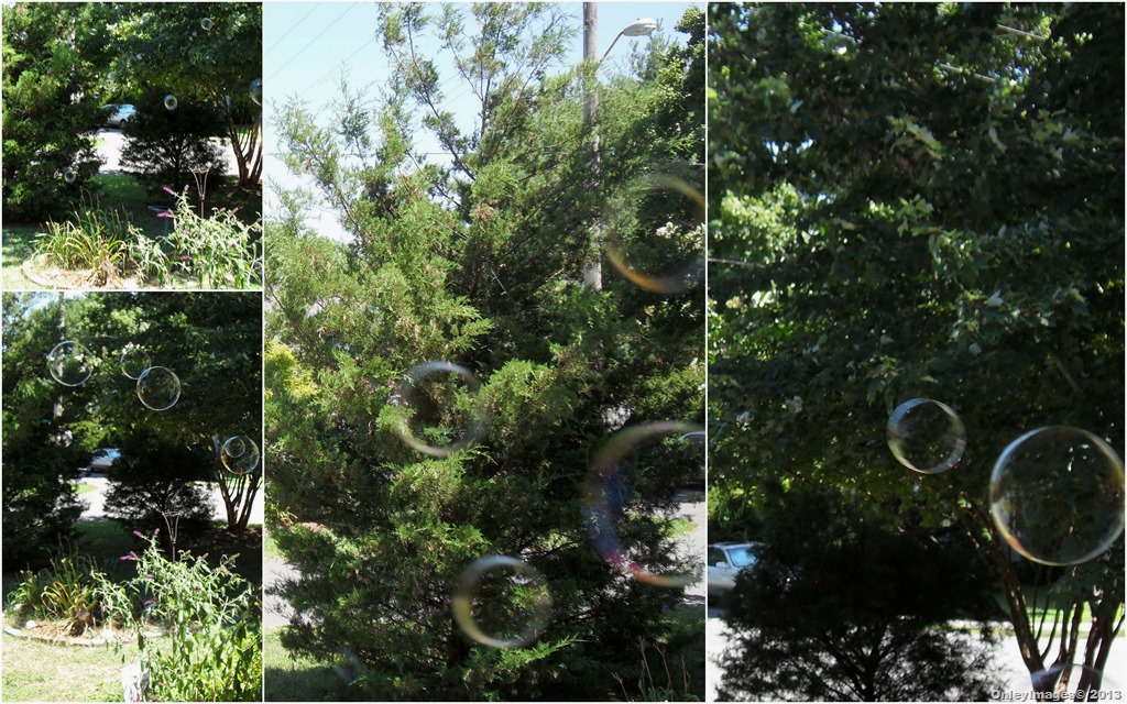 [bubbles-collage111.jpg]