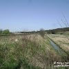 "Odrzanka" dsc06373.jpg