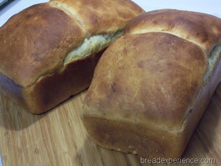 [salt-rising-bread%2520042.jpg]