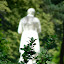 P1190007.JPG