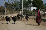 Utharad, India 044.JPG